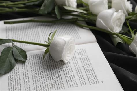 jdv obituário|Obituário .